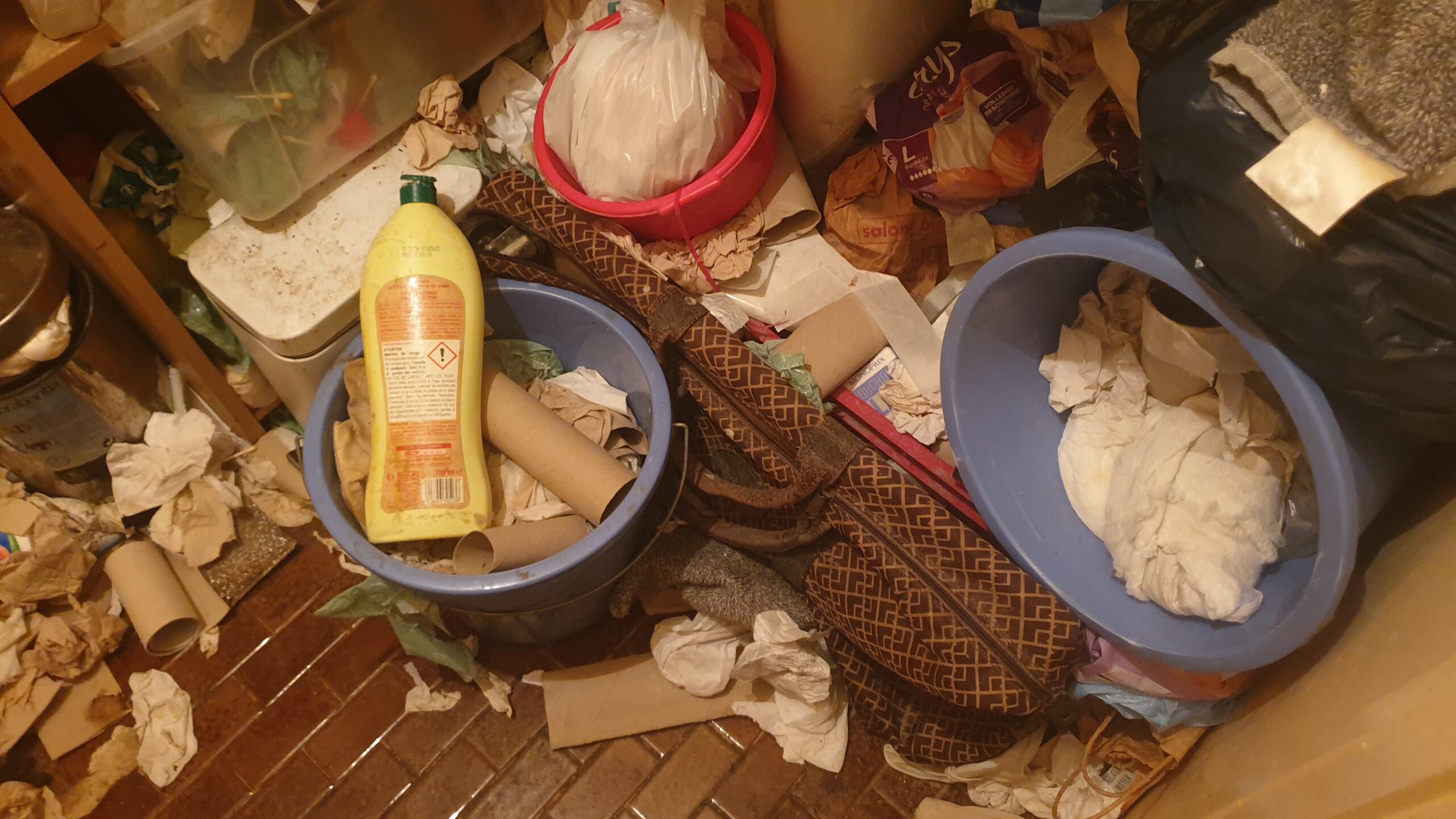 20250207 141830 Scaled