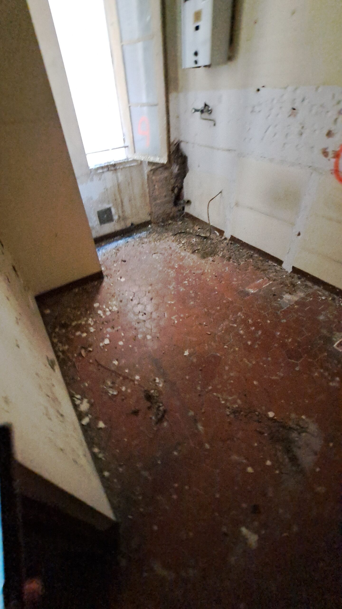 20250623 164455 Scaled