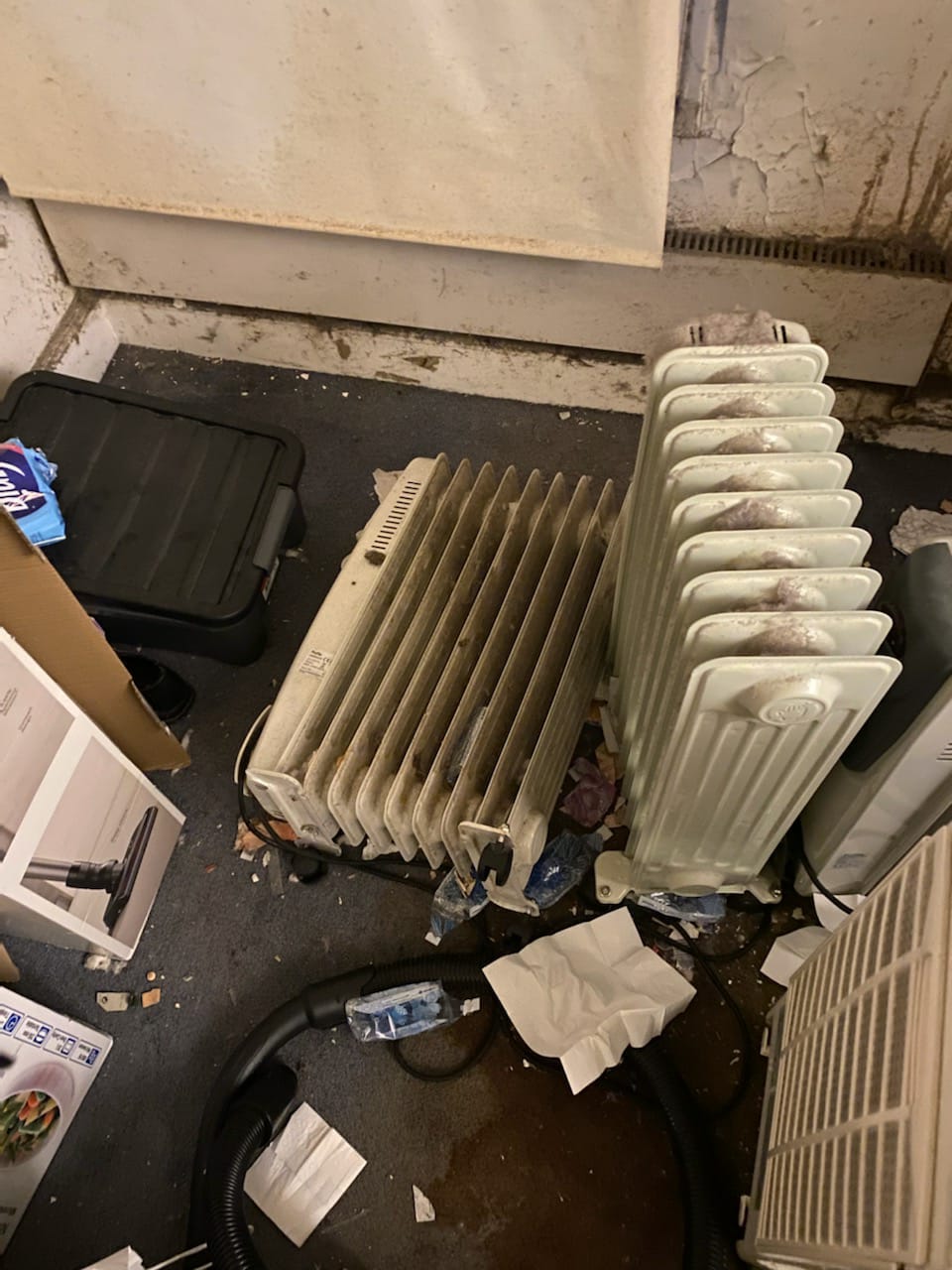 Syndrome De Diogene Comment Les Familles Vivent Lintervention