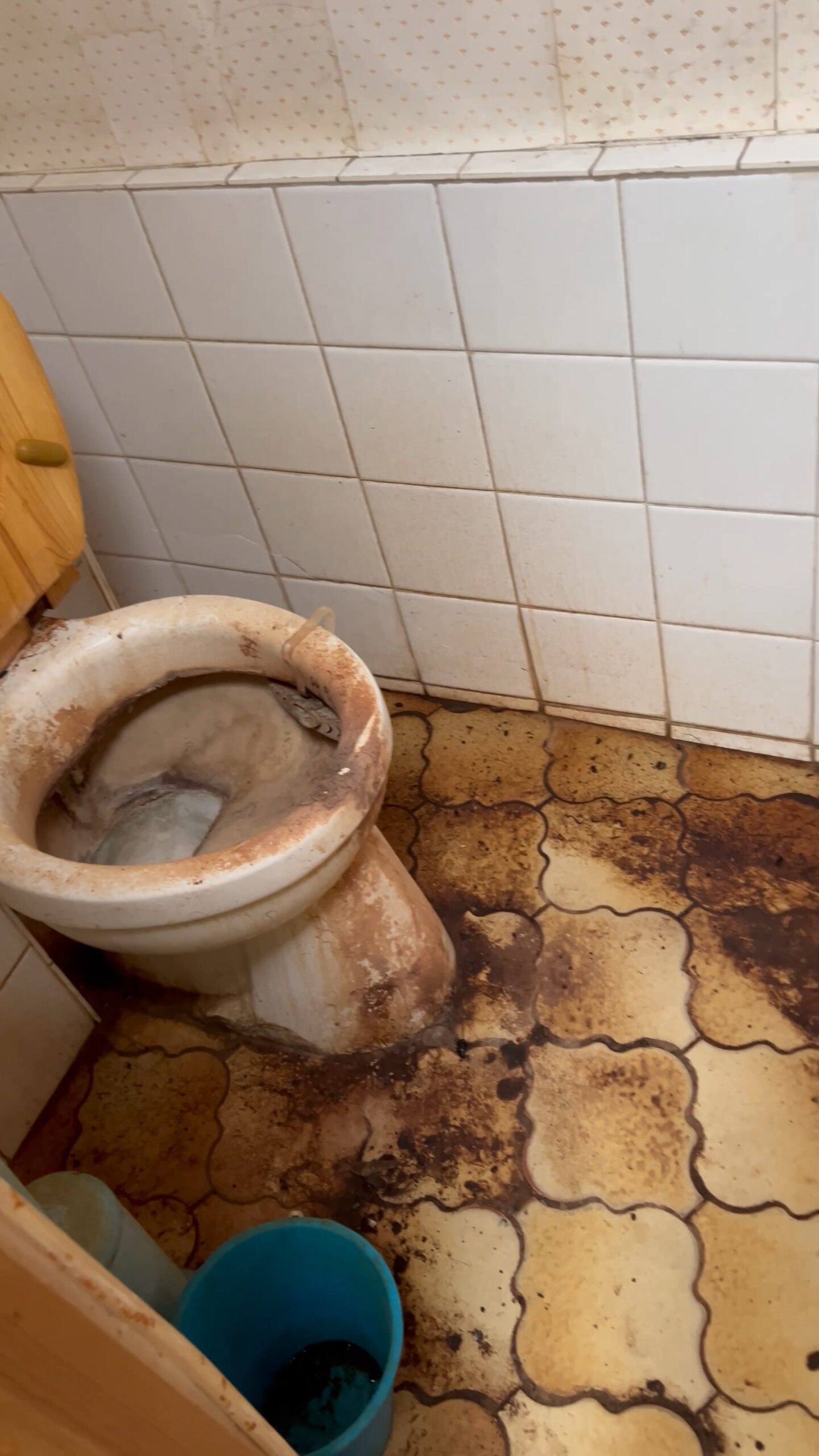 Comment gérer les odeurs d’égout après dégât des eaux ?