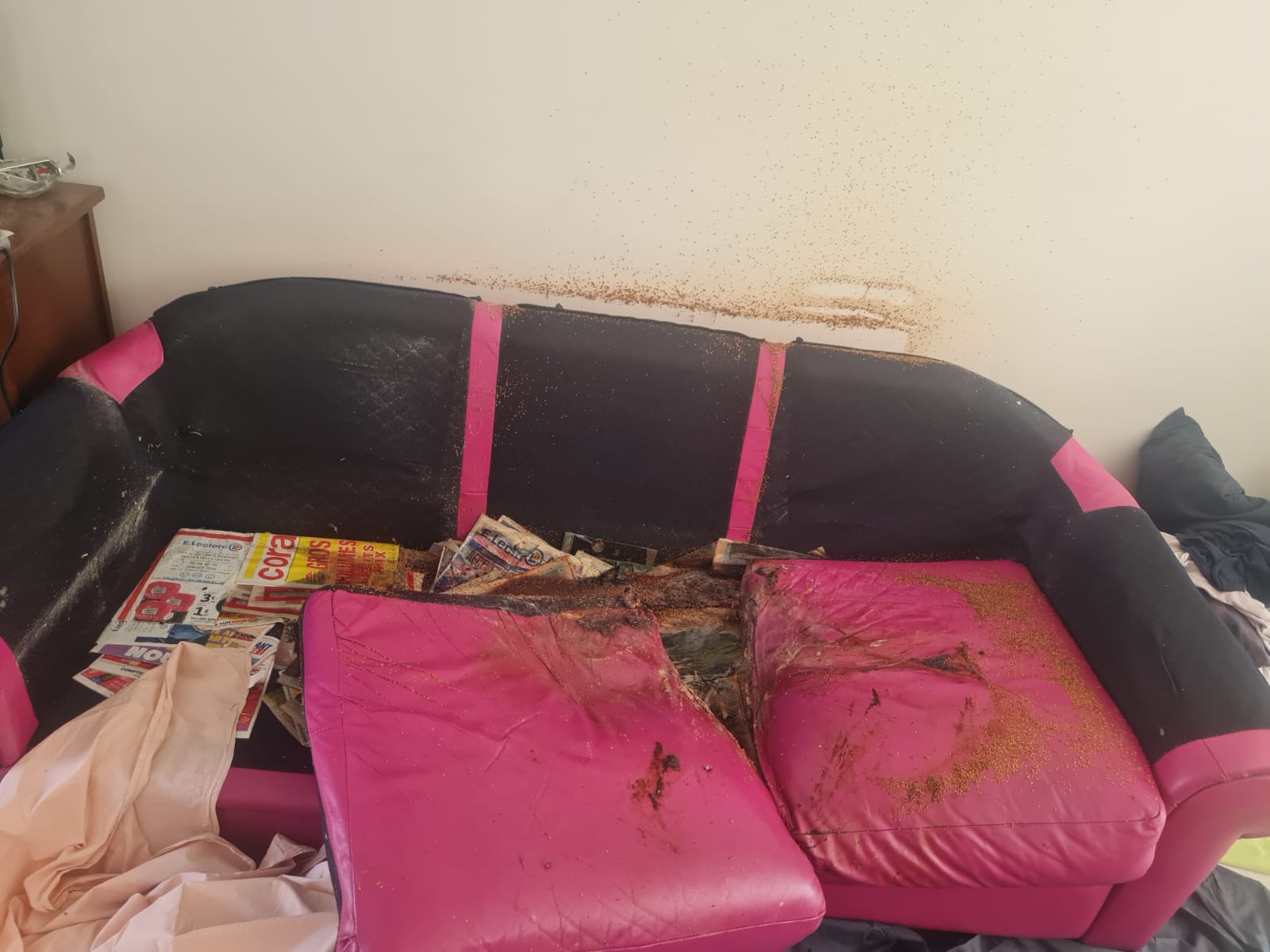 WhatsApp Image 2025 04 18 A 17.15.46 7c03292f